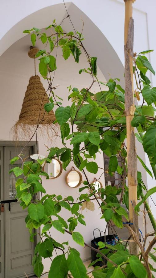 Riad Nohad Marrakech Marrakesh Extérieur photo